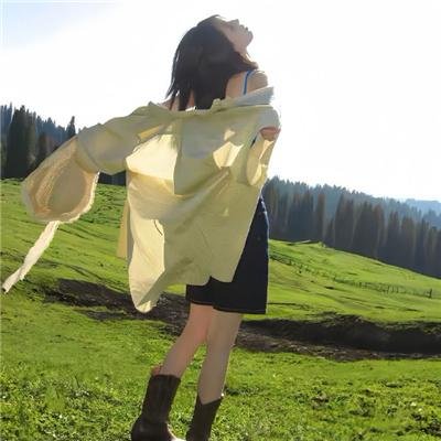星与翼的悖论 封面
