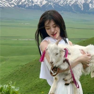 柯南势在必行第二季 封面