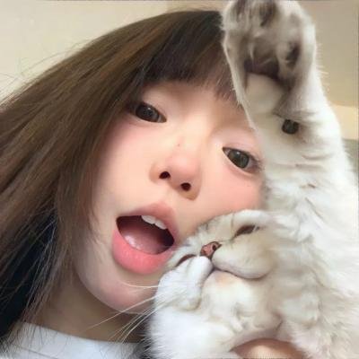 同谋 封面